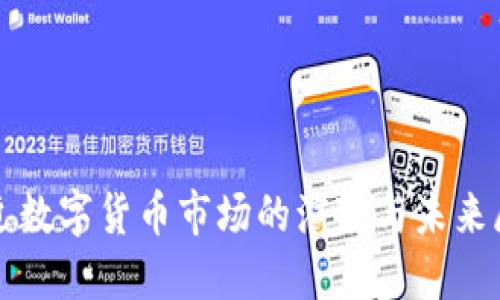 最近数字货币市场的演变与未来展望