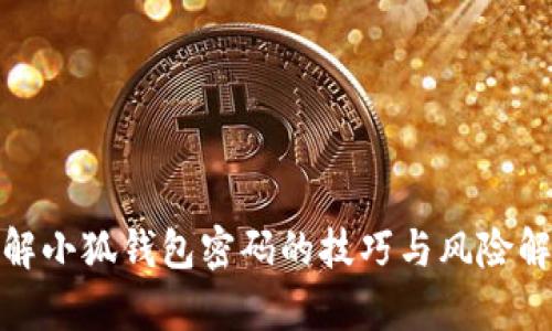 破解小狐钱包密码的技巧与风险解析
