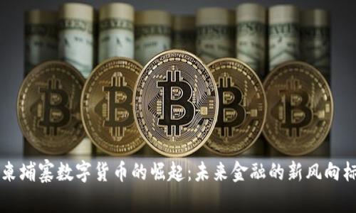 柬埔寨数字货币的崛起：未来金融的新风向标