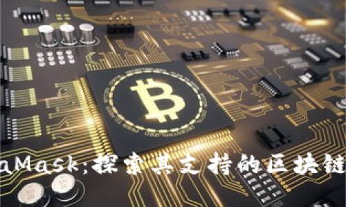 MetaMask：探索其支持的区块链网络