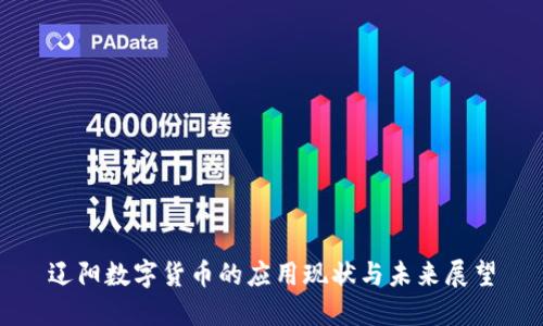 辽阳数字货币的应用现状与未来展望