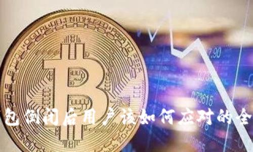 小狐钱包倒闭后用户该如何应对的全面指南