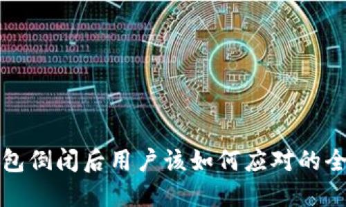 小狐钱包倒闭后用户该如何应对的全面指南