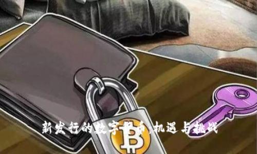 新发行的数字货币：机遇与挑战