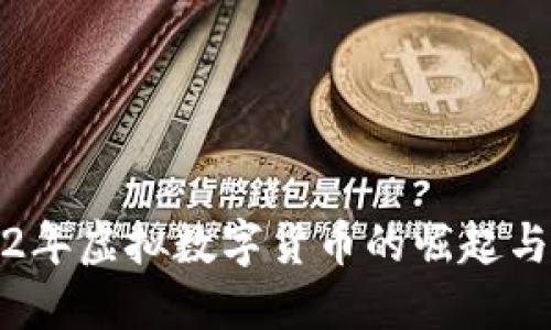 2022年虚拟数字货币的崛起与挑战