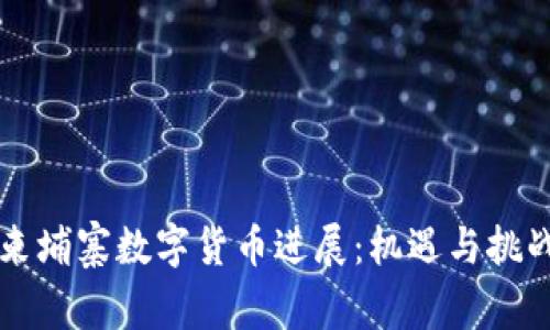 柬埔寨数字货币进展：机遇与挑战