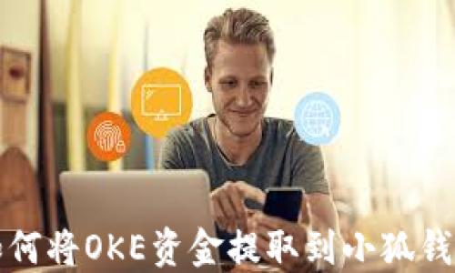 
如何将OKE资金提取到小狐钱包