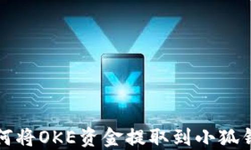 
如何将OKE资金提取到小狐钱包