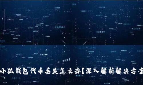 小狐钱包代币丢失怎么办？深入解析解决方案