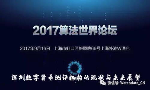 深圳数字货币测评机构的现状与未来展望